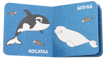 Паперова книга «Полярні тварини» - фото №4 - мініатюра