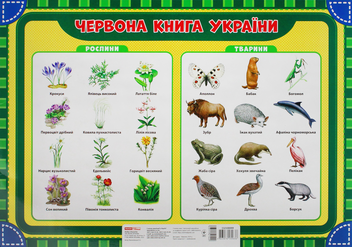 Бумажная книга «Лепбук. Екологія», автор О. Пальчиковская - фото №5 - миниатюра