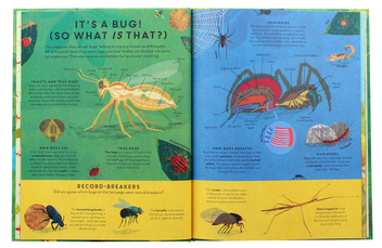 Бумажная книга «There are Bugs Everywhere», автор Лили Мюррей - фото №5 - миниатюра