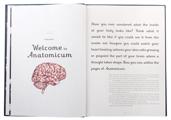 Паперова книга «Anatomicum», автор Дженніфер Пакстон - фото №5 - мініатюра