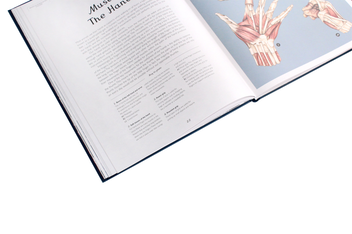 Паперова книга «Anatomicum», автор Дженніфер Пакстон - фото №7 - мініатюра