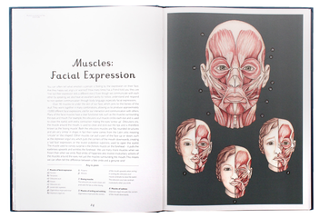 Паперова книга «Anatomicum», автор Дженніфер Пакстон - фото №8 - мініатюра