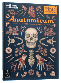 Паперова книга «Anatomicum», автор Дженніфер Пакстон - фото №3 - мініатюра