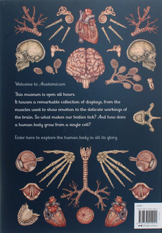 Паперова книга «Anatomicum», автор Дженніфер Пакстон - фото №2 - мініатюра