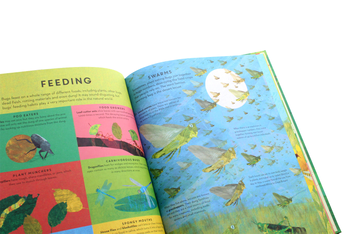 Бумажная книга «There are Bugs Everywhere», автор Лили Мюррей - фото №7 - миниатюра
