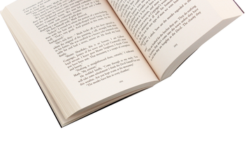 Паперова книга «Dissolution (The Shardlake series)», автор К. Дж. Сенсом - фото №5 - мініатюра