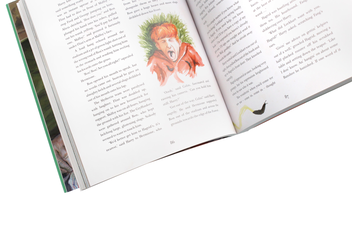Бумажная книга «Harry Potter and the Chamber of Secrets. Illustrated Edition», автор Джоан Роулинг - фото №5 - миниатюра