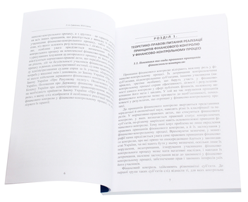 Бумажная книга «Правові проблеми реалізації принципів фінансового контролю у фінансово-контрольному процесі. Монографія», автор Л. Савченко - фото №4 - миниатюра