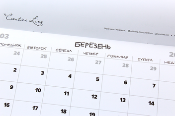 Бумажная книга «Нотатник кота Інжира зелений + календар кота Iнжира на 2020 рік (комплект)», автор Борис Фенюк - фото №7 - миниатюра