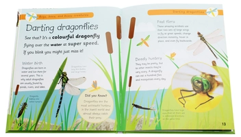 Бумажная книга «Bugs, Bees and Other Buzzy Creatures.  Full of Fun Facts and Activities» - фото №7 - миниатюра