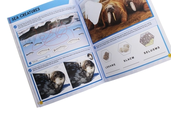 Бумажная книга «Bear Grylls Sticker Activity: Polar Worlds», автор Беар Гриллс - фото №5 - миниатюра