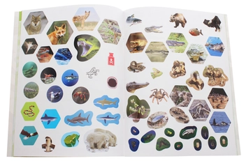 Бумажная книга «Bear Grylls Sticker Activity: Predators», автор Беар Гриллс - фото №6 - миниатюра