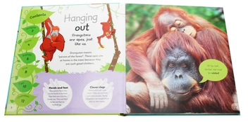 Бумажная книга «The Incredible Fold-Out Book of Animals» - фото №4 - миниатюра