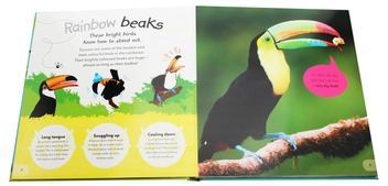 Бумажная книга «The Incredible Fold-Out Book of Animals» - фото №7 - миниатюра