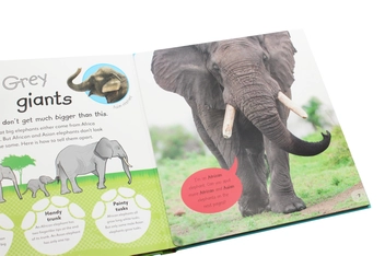Бумажная книга «The Incredible Fold-Out Book of Animals» - фото №10 - миниатюра