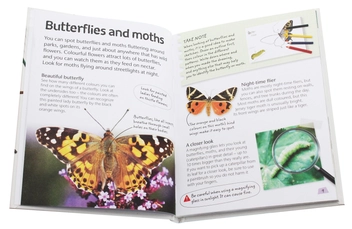 Паперова книга «Butterflies and Moths. Explore Nature with Fun Facts and Activities» - фото №4 - мініатюра