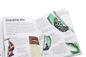 Паперова книга «Butterflies and Moths. Explore Nature with Fun Facts and Activities» - фото №6 - мініатюра