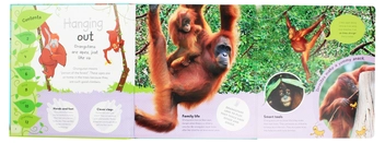 Бумажная книга «The Incredible Fold-Out Book of Animals» - фото №5 - миниатюра
