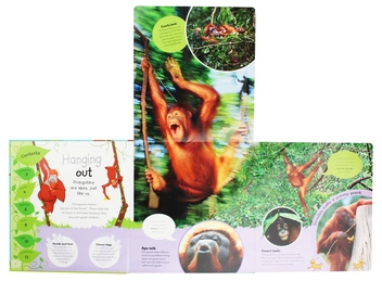 Бумажная книга «The Incredible Fold-Out Book of Animals» - фото №6 - миниатюра
