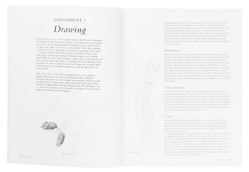 Паперова книга «Botanical Sketchbook: Drawing, painting and illustration for botanical artists», авторів Маргарет Стівенс, Мері Енн Скотт - фото №5 - мініатюра