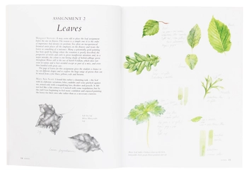 Паперова книга «Botanical Sketchbook: Drawing, painting and illustration for botanical artists», авторів Маргарет Стівенс, Мері Енн Скотт - фото №6 - мініатюра