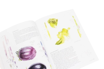Паперова книга «Botanical Sketchbook: Drawing, painting and illustration for botanical artists», авторів Маргарет Стівенс, Мері Енн Скотт - фото №7 - мініатюра
