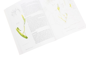 Паперова книга «Botanical Sketchbook: Drawing, painting and illustration for botanical artists», авторів Маргарет Стівенс, Мері Енн Скотт - фото №8 - мініатюра