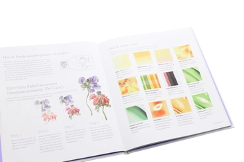 Паперова книга «Botanical Illustration for Beginners: A Step-by-Step Guide», авторів Мериель Турстан, Розі Мартін - фото №6 - мініатюра