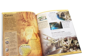 Бумажная книга «First Earth Encyclopedia» - фото №6 - миниатюра