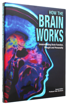 Бумажная книга «How the Brain Works», автор Петер Абрахамс - фото №3 - миниатюра