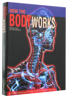 Бумажная книга «How the Body Works», автор Петер Абрахамс - фото №3 - миниатюра