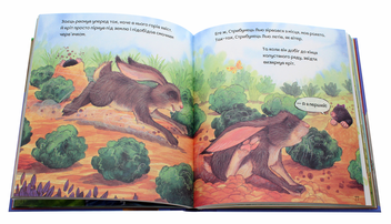 Паперова книга «Милі казки на добраніч. Збірка казок» - фото №7 - мініатюра