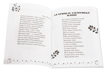 Паперова книга «Коло читання. Хрестоматія української літератури. 4 клас», автор Інна Єфімова - фото №4 - мініатюра