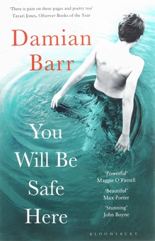 Паперова книга «You Will Be Safe Here», автор Деміан Барр - фото №1 - мініатюра