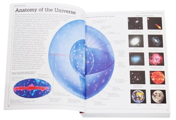 Бумажная книга «Pocket Visual Dictionary» - фото №6 - миниатюра