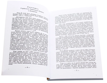 Паперова книга «Українська стрілецька громада в Едмонтоні 1928-1978 рр.», автор Михайло Байрак - фото №4 - мініатюра