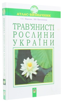 Паперова книга «Трав'янисті рослини України. Атлас-визначник», авторів Віра Протопопова, Світлана Морозюк - фото №3 - мініатюра
