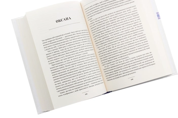 Бумажная книга «Злотий, долар, євро. Історія незаплаканої заробітчанки», автор Елена Косенко-Кабьюк - фото №5 - миниатюра