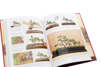 Паперова книга «The Complete Practical Encyclopedia of Bonsai», автор Кен Норман - фото №5 - мініатюра