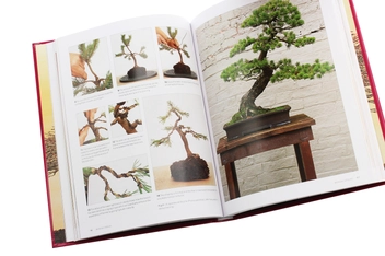 Паперова книга «The Complete Practical Encyclopedia of Bonsai», автор Кен Норман - фото №6 - мініатюра