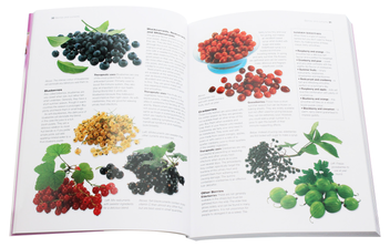 Бумажная книга «Juicing Smoothies & Blended Drinks», авторов Джоанна Фэрроу, Сюзанна Оливье - фото №7 - миниатюра