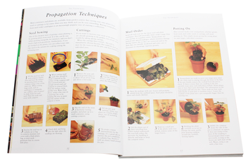 Паперова книга «Practical Container Gardening», автор Стефані Дональдсон - фото №5 - мініатюра