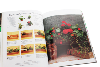 Паперова книга «Practical Container Gardening», автор Стефані Дональдсон - фото №6 - мініатюра