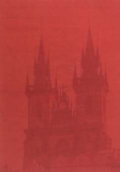 Бумажная книга «Чеська пареміологія в генетичному, лінгвокогнітивному і дискурсивному висвітленні», автор Людмила Даниленко - фото №2 - миниатюра