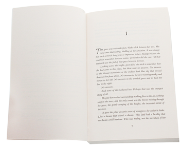 Бумажная книга «Hangman's Gate», автор Р.С. Форд - фото №4 - миниатюра
