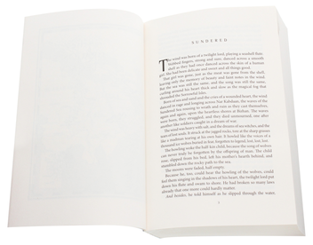 Паперова книга «The Forbidden City», автор Дебора Вольф - фото №5 - мініатюра