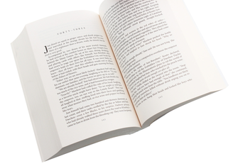 Паперова книга «The Forbidden City», автор Дебора Вольф - фото №6 - мініатюра