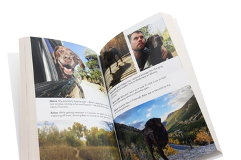 Бумажная книга «A Dog Named Beautiful: The true story of the Labrador who taught a Marine to love life again», автор Роберт Куглер - фото №6 - миниатюра