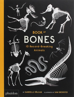 Бумажная книга «Book of Bones. 10 Record-Breaking Animals», автор Габриэль Балкан - фото №1 - миниатюра