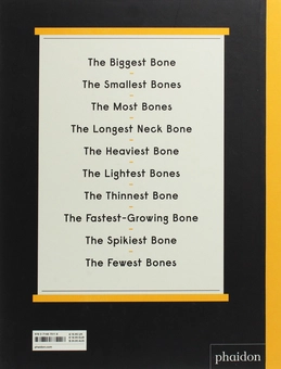 Бумажная книга «Book of Bones. 10 Record-Breaking Animals», автор Габриэль Балкан - фото №2 - миниатюра